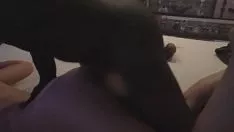 Play Cuckstorys 89c