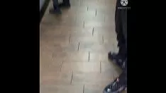 Reproducir Peeping tom muscae volitantes gran dinero sucio delgado medio árbol de ébano resistente