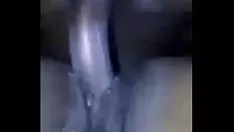 Oynat ıslak kedicik