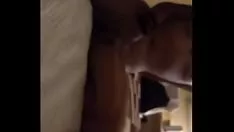 播放 Squanderjob 公主 获得 奠定了 blackcock pt