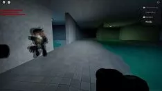 Играть Roblox, отдельное синие