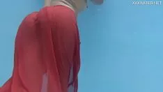 চালান হটস্ক্রিন মিল্ফ নিমজ্জিত disinvests