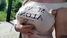 Redare Sistemul de răcire Rosafucardinala este oprit în parc
