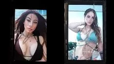 تشغيل شهادة نائب الرئيس المتخصصة أ. أ. مايكلسون