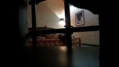 播放 实数秘密凸轮