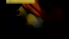 تشغيل جناح كاميرا الويب 01