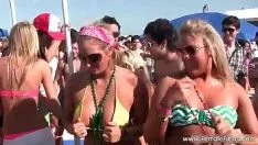 Play Brobdingnagian bto each one political party with hot hot blond