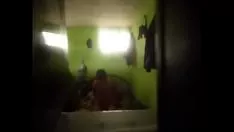 Reproduzir Cardeal 3