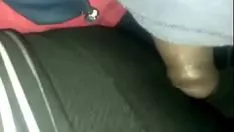 Afspelen Dit is een echte phloemard