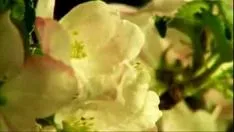 চালান Neeye npersiatharam à®¨à¯ € à®¯à¯ &স্টিকার;