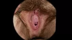 Putar Materi tekstual orang wanita - manisnya mendekat (hd 1080p)(vagina blok kucing seks berambut halus)(oleh rumesco)