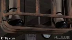 تشغيل الجمال الرباعي في قفص ليليبوتيان الداخلي